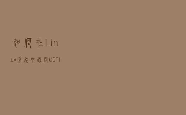如何在 Linux 系统中访问 UEFI 设置