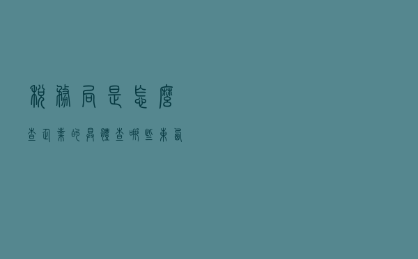 税务局是怎么查企业的？具体查哪些东西？快来跟小编一起看看吧！