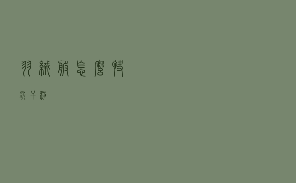 羽绒服怎么快洗干净