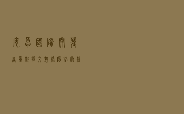 安卓国际开发者：重新提交数据隐私条款