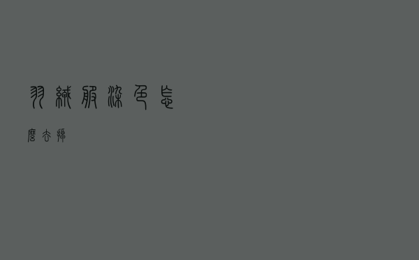 羽绒服染色怎么去掉