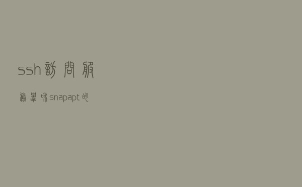 ssh访问服务器和snap/apt的使用