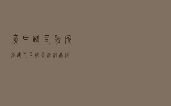 广中路司法所创建“芒果炫风”法治品牌