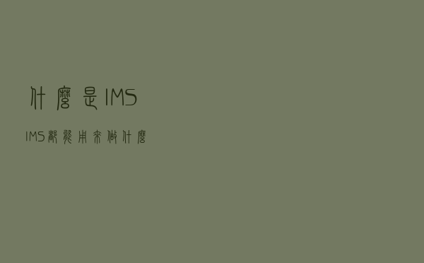 什么是IMS，IMS都能用来做什么？