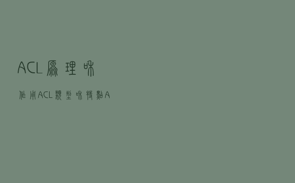 ACL原理和作用，ACL类型和特点，ACL匹配和通配符使用