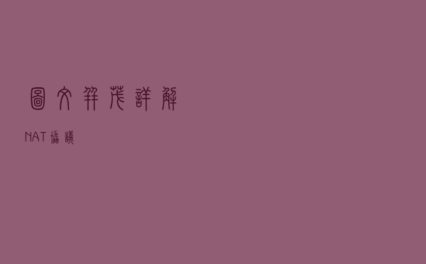 图文并茂详解 NAT 协议