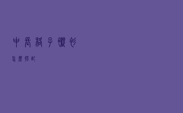 中长格子衬衫怎么搭配