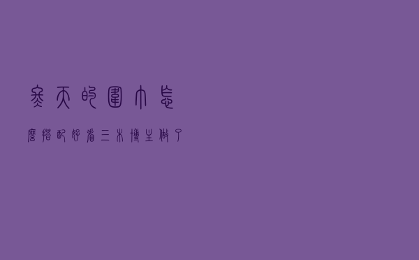 冬天的围巾怎么搭配好看？三木博主做了很好的示范，每一套都很美