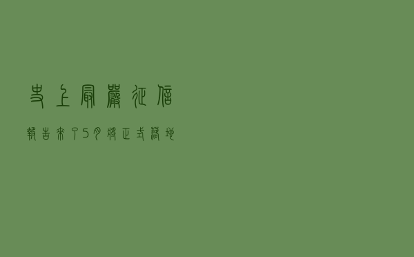 史上最严征信报告来了！5月将正式落地