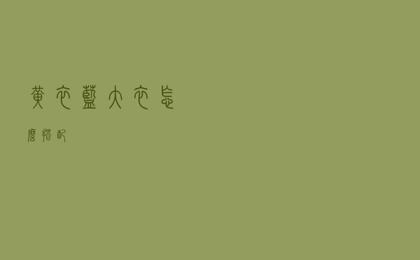 黄衣蓝大衣怎么搭配