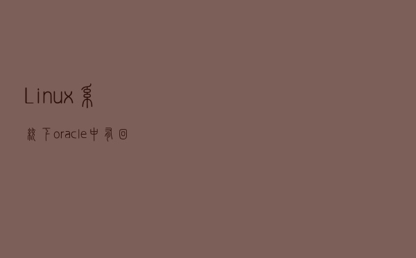 Linux系统下oracle中有回滚吗？