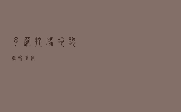 子网掩码的认识和作用