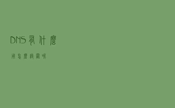 DNS有什么用？怎么设置呢？