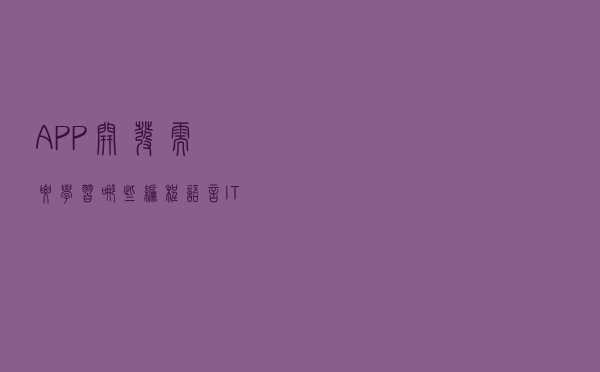 APP开发需要学习哪些编程语言？IT工程师告诉你