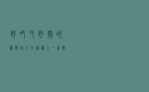 好吃又好闻的罗勒，自己在家种上一盆，摘下来就能吃