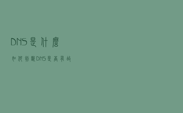 DNS是什么？如何判断DNS是否有故障？如何选择最快的外部DNS​？