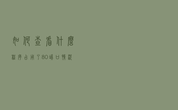 如何查看什么程序占用了80端口情况