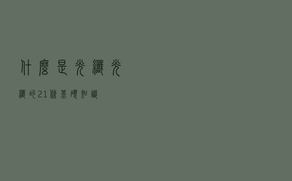 什么是光纤，光纤的21条基础知识