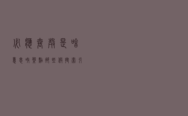必应套壳是啥意思呀？盘点那些“假”搜索引擎
