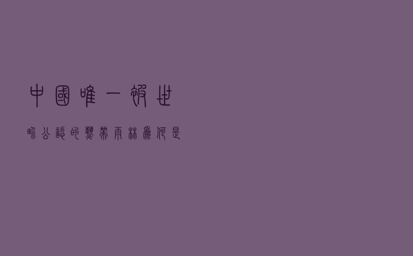 中国唯一被世界公认的热带雨林，为何是游客抬头看风景最多的地方