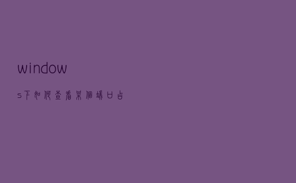 windows下如何查看某个端口占用