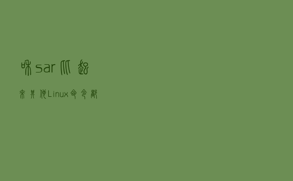 和sar比起来，其他Linux命令都是猹