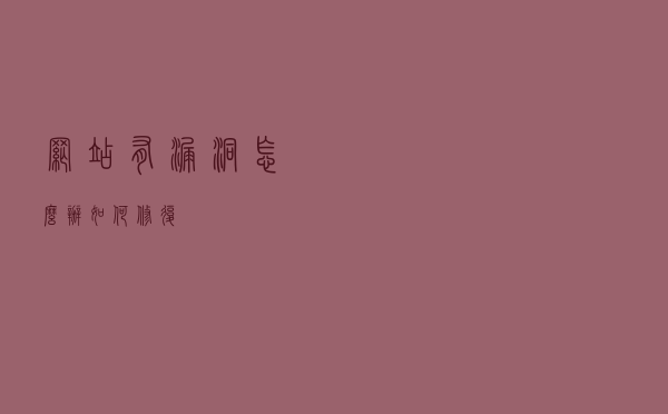 网站有漏洞怎么办如何修复