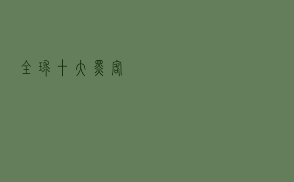 全球十大黑客
