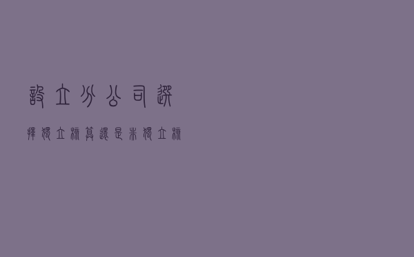 设立分公司选择独立核算还是非独立核算？