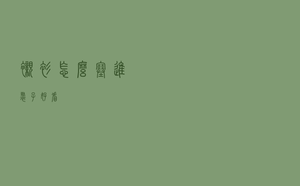 衬衫怎么塞进裙子好看