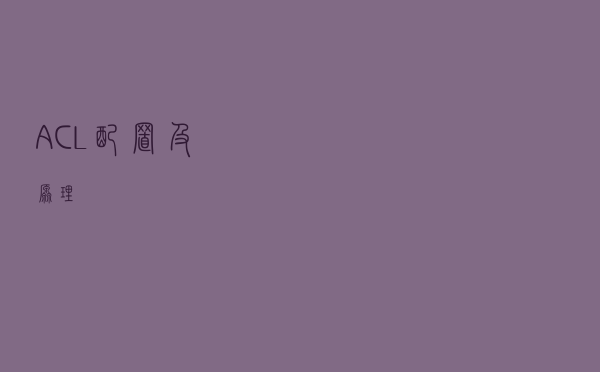 ACL配置及原理