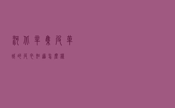 河北辛集皮革城的皮衣知道怎么样