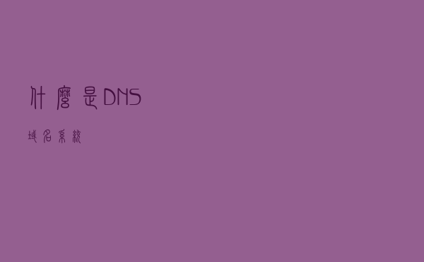 什么是 DNS 域名系统？