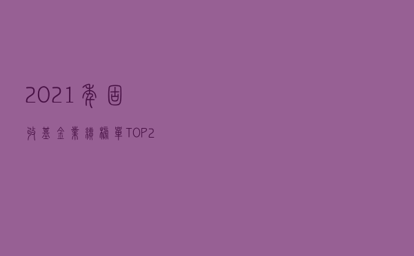 2021年固收+基金业绩榜单TOP20
