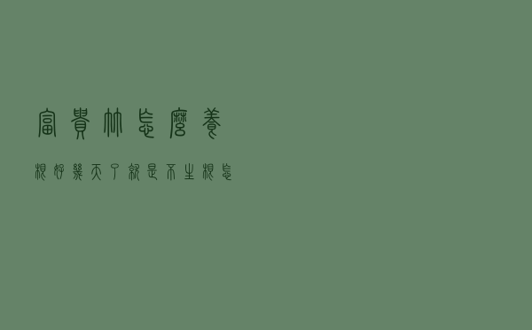 富贵竹怎么养根？好几天了，就是不生根怎么办？