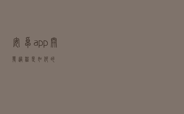 安卓app开发过程是如何的？