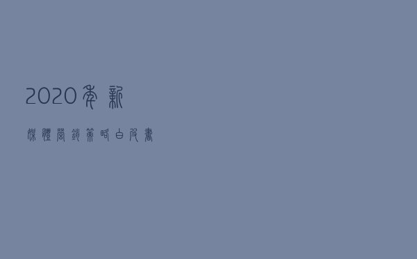 2020年新媒体营销策略白皮书