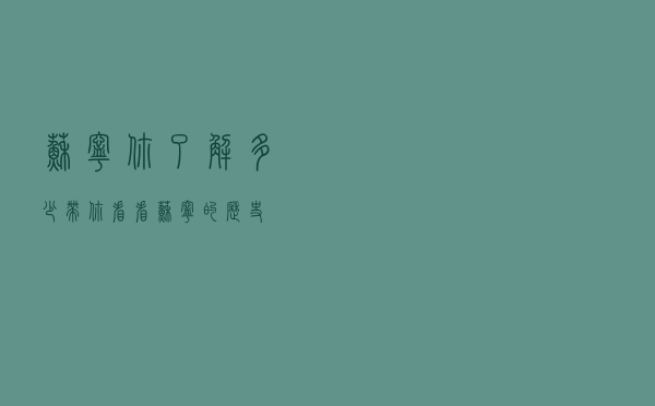 苏宁，你了解多少，带你看看苏宁的历史