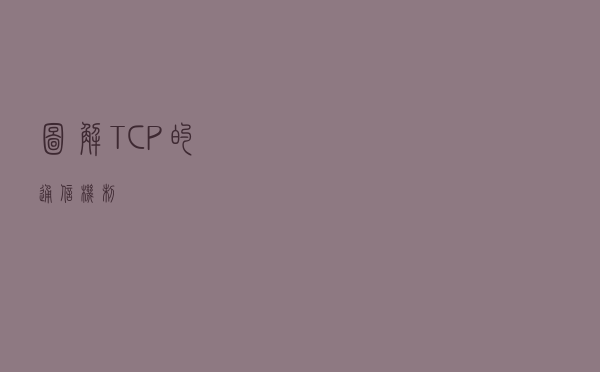 图解TCP的通信机制