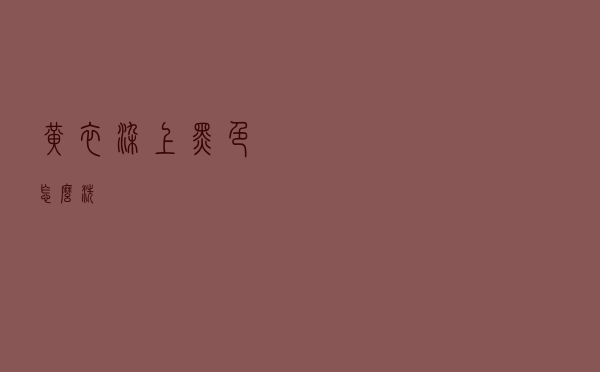 黄衣染上黑色怎么洗