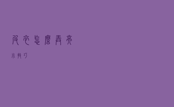 皮衣怎么弄亮小技巧