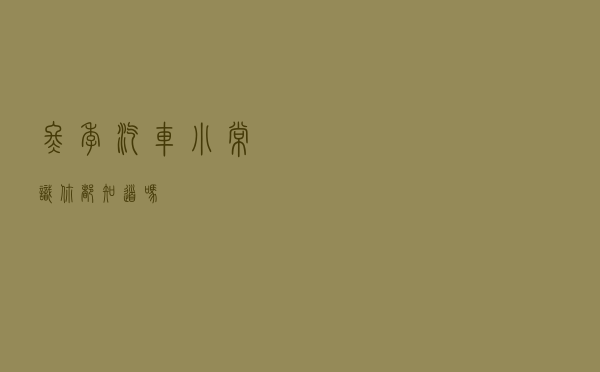 冬季汽车小常识你都知道吗