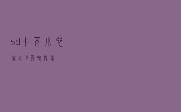 sd卡不小心格式化能恢复吗？