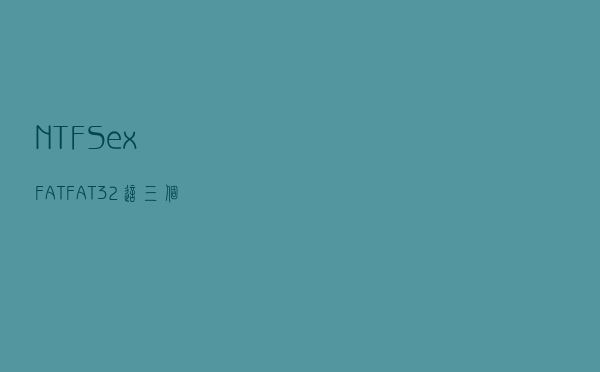 NTFS/exFAT/FAT32，这三个常见选项是什么意思？