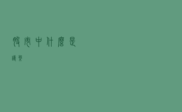 股市中什么是护盘？