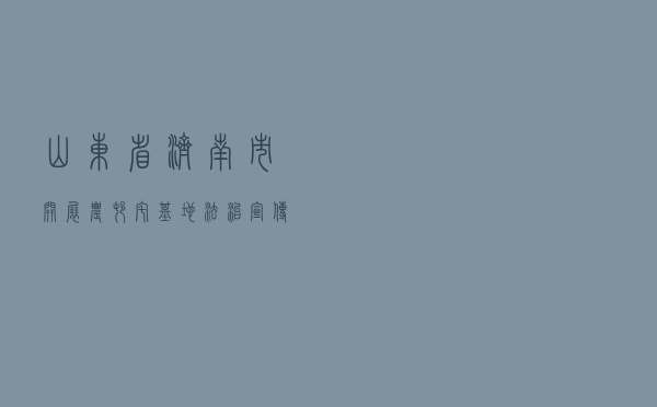 山东省济南市开展农村宅基地法治宣传活动