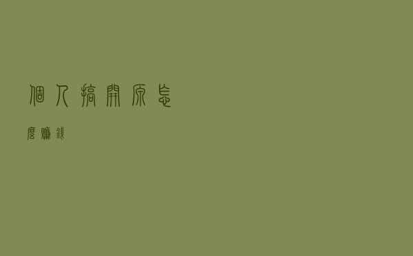 个人搞开源怎么赚钱？