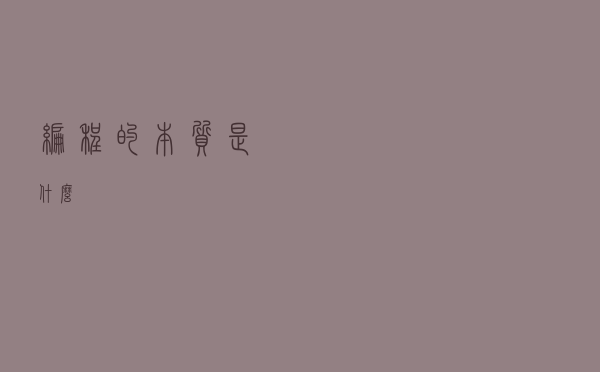 编程的本质是什么？