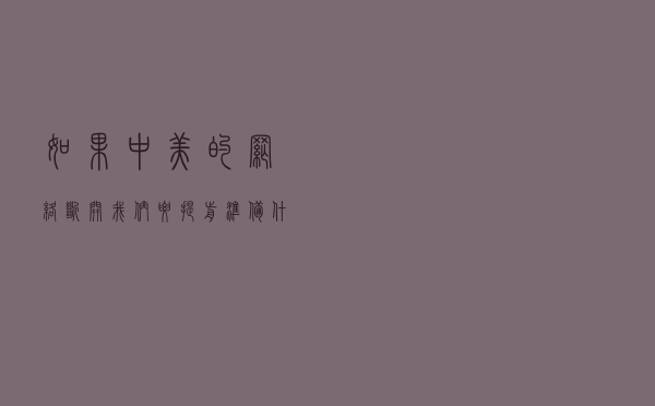 如果中美的网络断开，我们要提前准备什么？域名系统（DNS）问题
