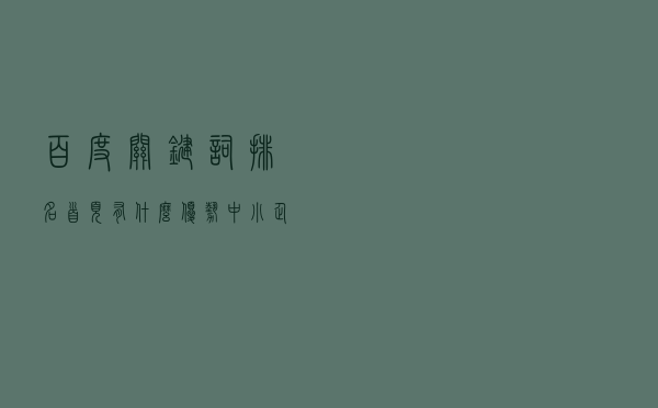 百度关键词排名首页有什么优势?中小企业为什么都想网站排名首页?